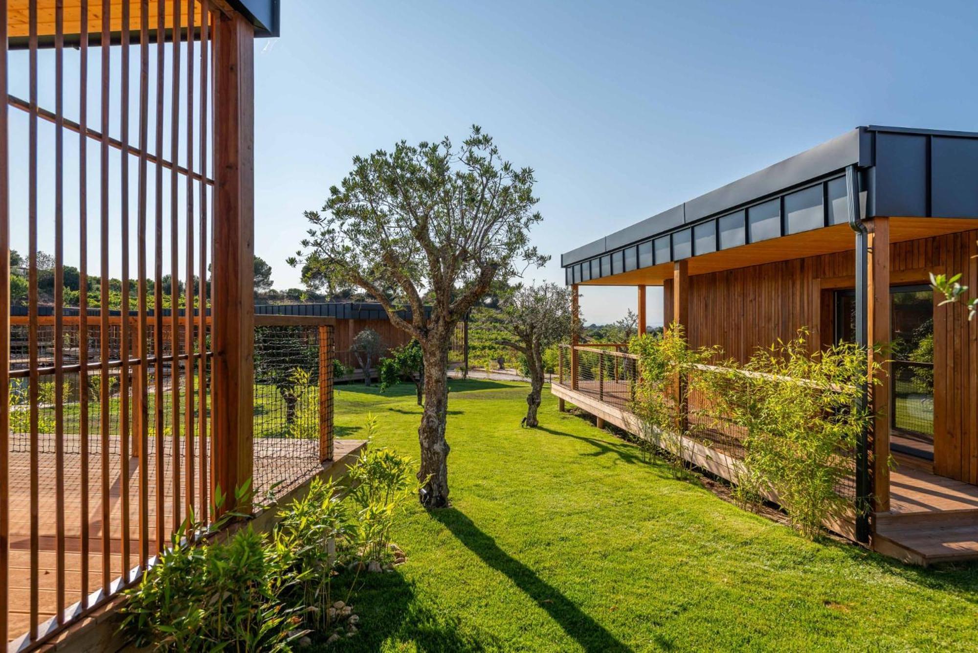 Wecamp Reserva Alecrim Santiago do Cacém Екстериор снимка